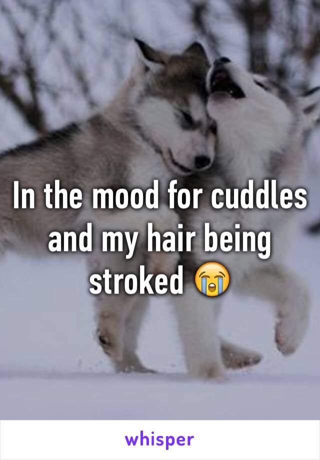 In the mood for cuddles and my hair being stroked 😭