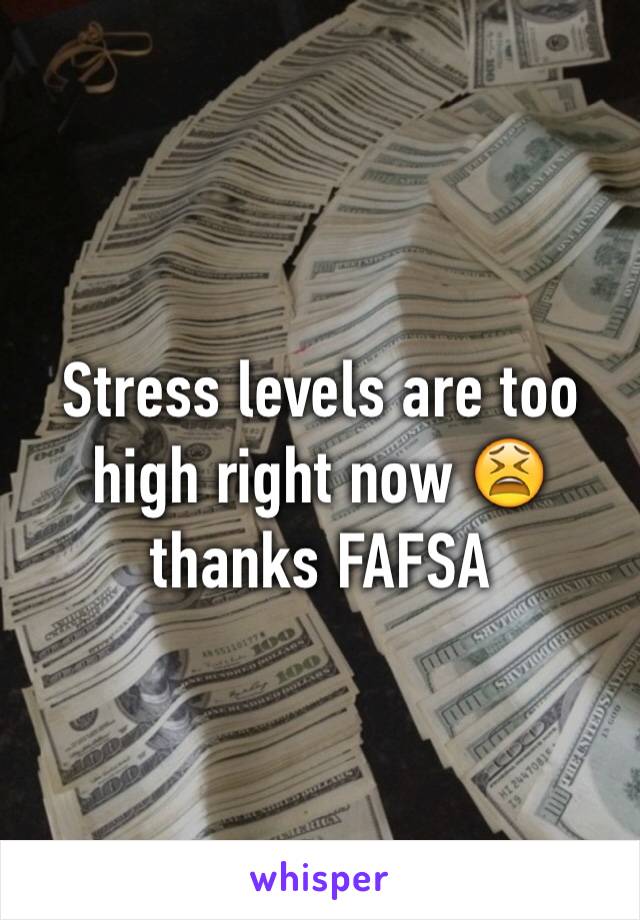 Stress levels are too high right now 😫thanks FAFSA 