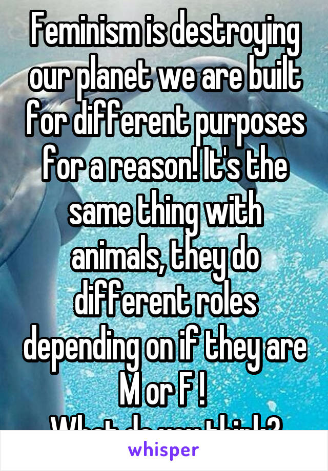 Feminism is destroying our planet we are built for different purposes for a reason! It's the same thing with animals, they do different roles depending on if they are M or F ! 
What do you think?