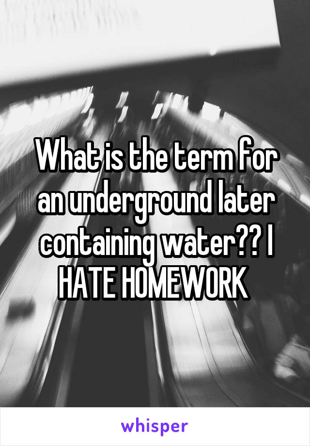 What is the term for an underground later containing water?? I HATE HOMEWORK 
