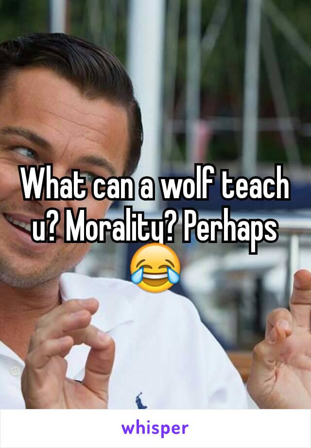 What can a wolf teach u? Morality? Perhaps😂