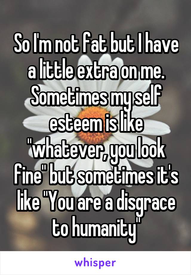 So I'm not fat but I have a little extra on me. Sometimes my self esteem is like "whatever, you look fine" but sometimes it's like "You are a disgrace to humanity"