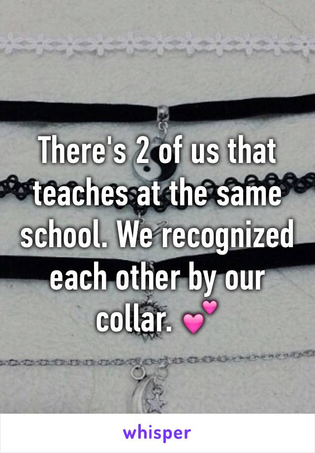 There's 2 of us that teaches at the same school. We recognized each other by our collar. 💕