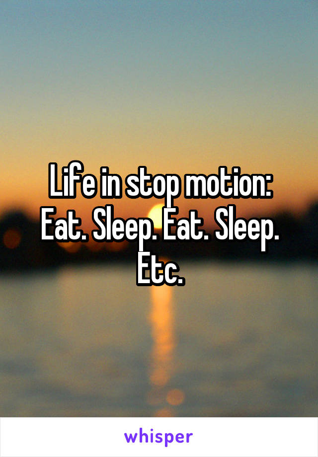 Life in stop motion:
Eat. Sleep. Eat. Sleep.
Etc.