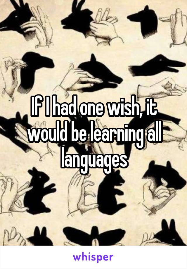 If I had one wish, it would be learning all languages