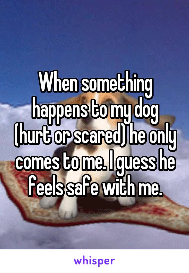 When something happens to my dog (hurt or scared) he only comes to me. I guess he feels safe with me.