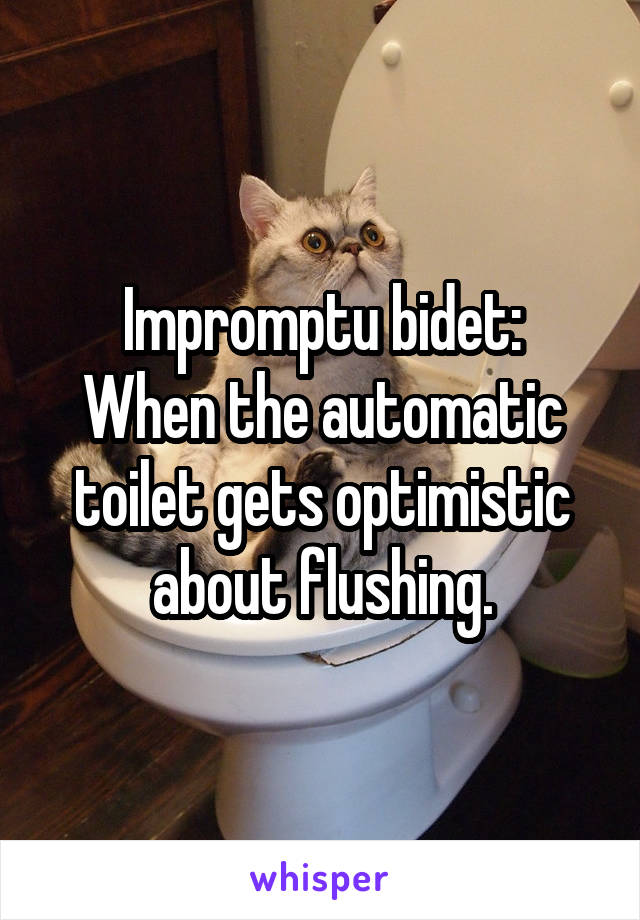 Impromptu bidet:
When the automatic toilet gets optimistic about flushing.