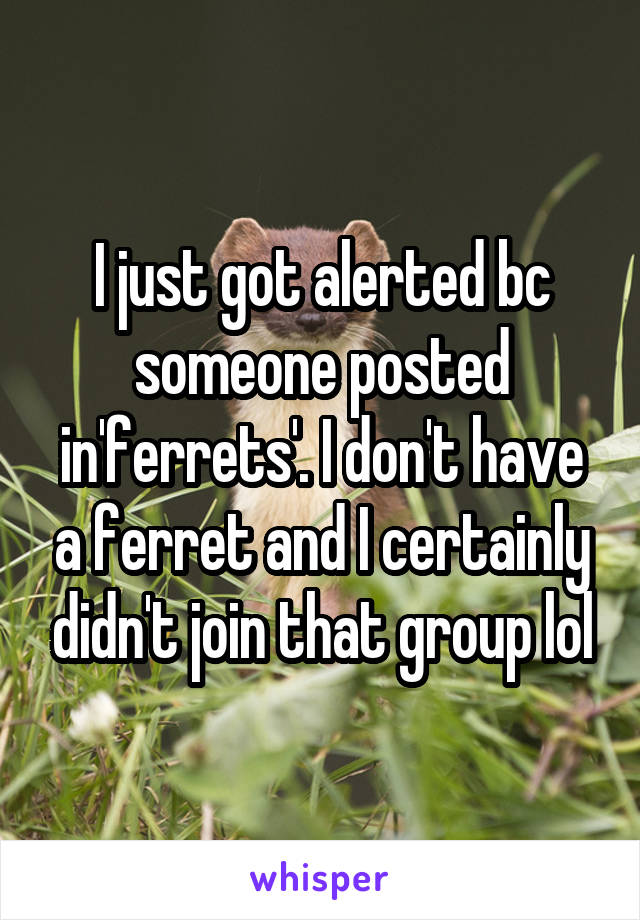 I just got alerted bc someone posted in'ferrets'. I don't have a ferret and I certainly didn't join that group lol