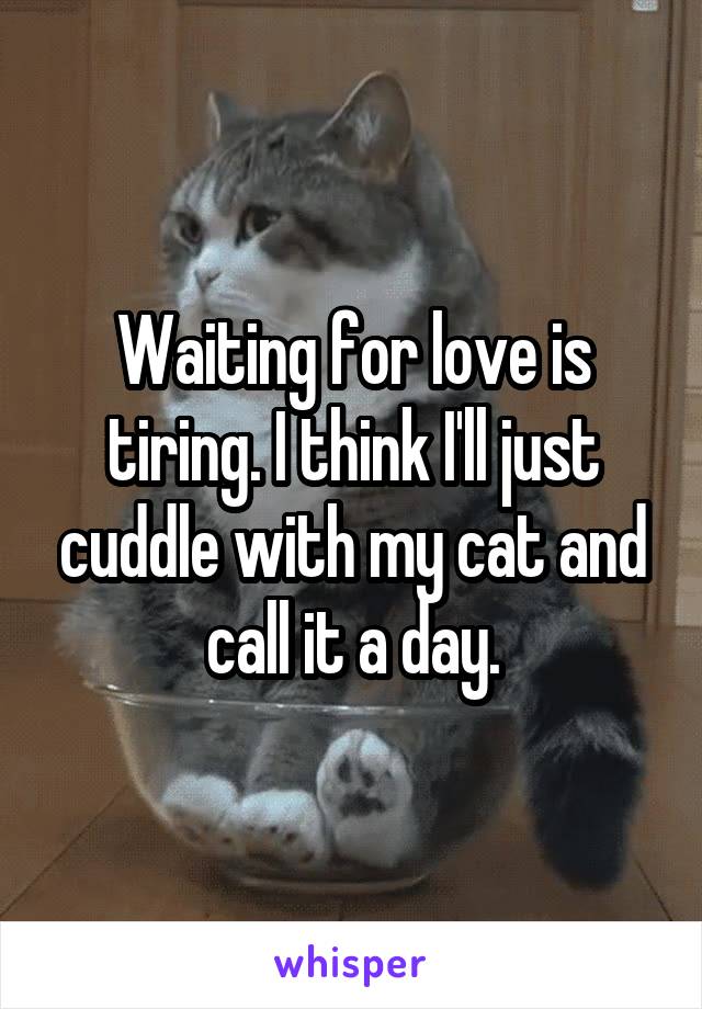 Waiting for love is tiring. I think I'll just cuddle with my cat and call it a day.