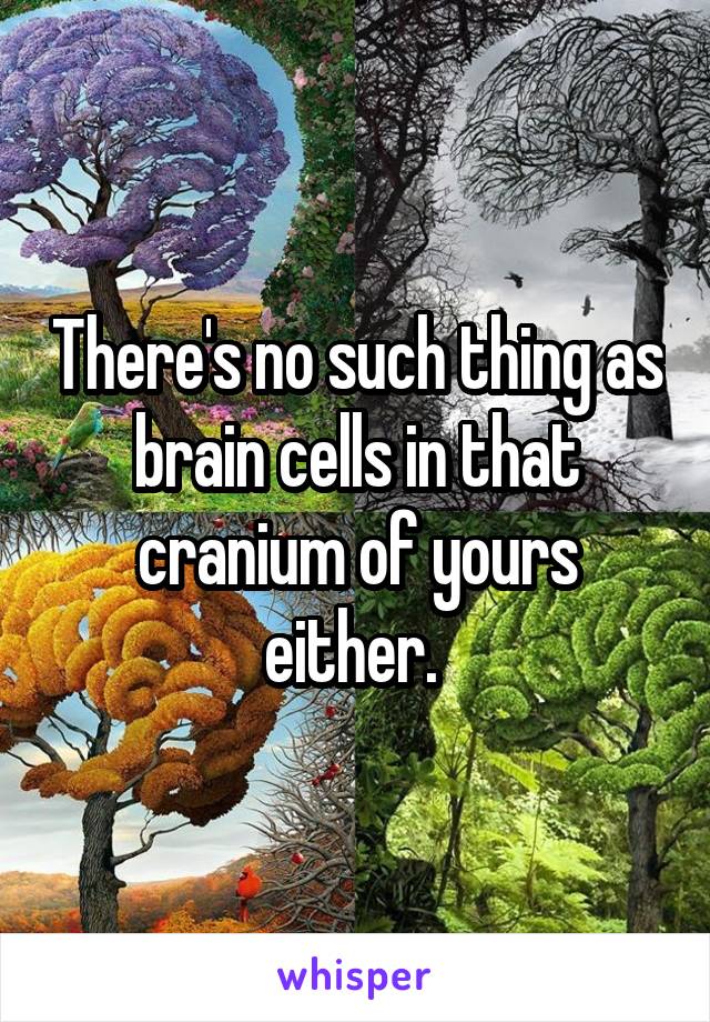 There's no such thing as brain cells in that cranium of yours either. 
