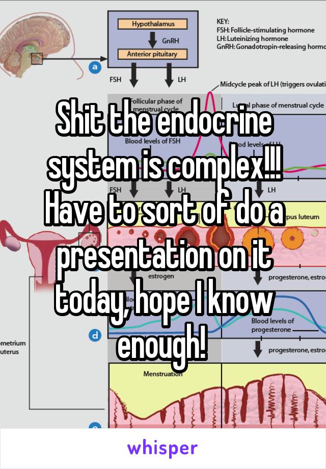 Shit the endocrine system is complex!!! Have to sort of do a presentation on it today, hope I know enough! 