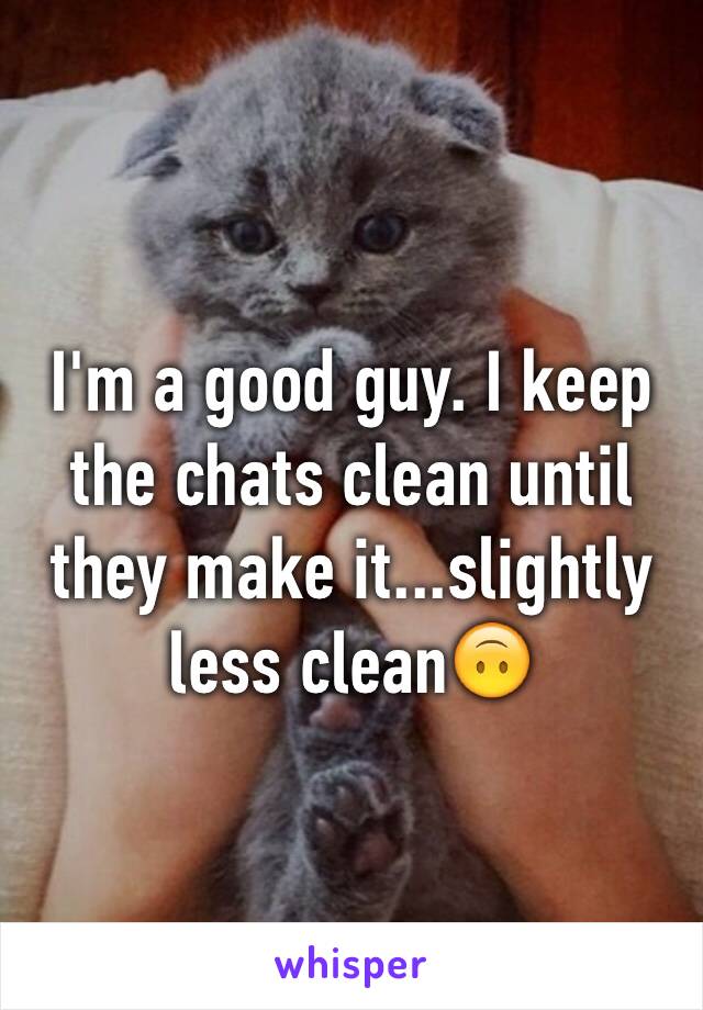 I'm a good guy. I keep the chats clean until they make it...slightly less clean🙃