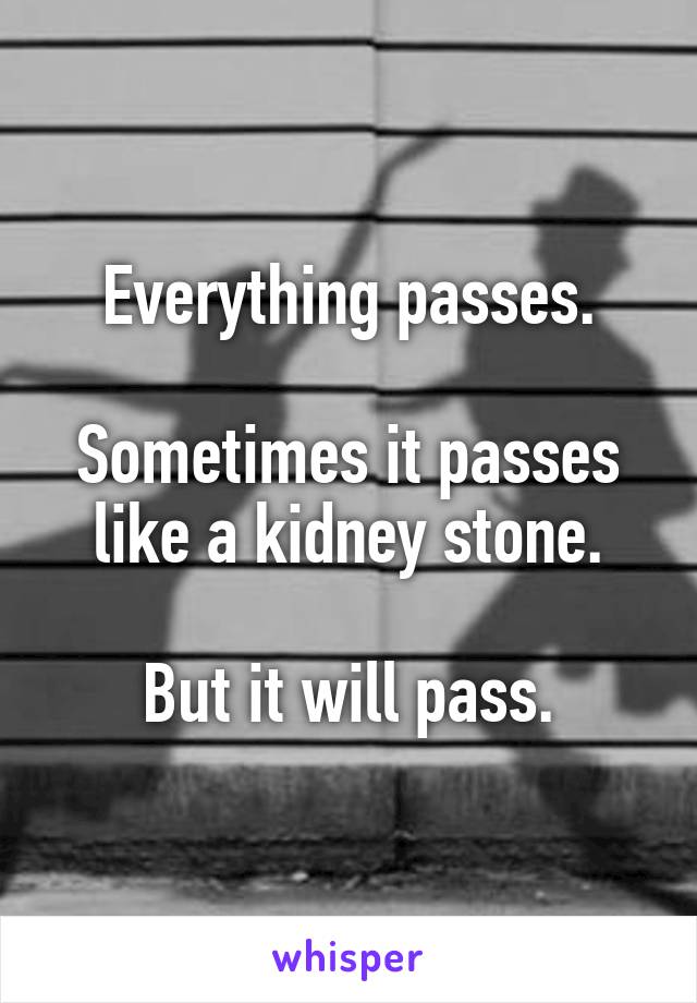 Everything passes.

Sometimes it passes like a kidney stone.

But it will pass.