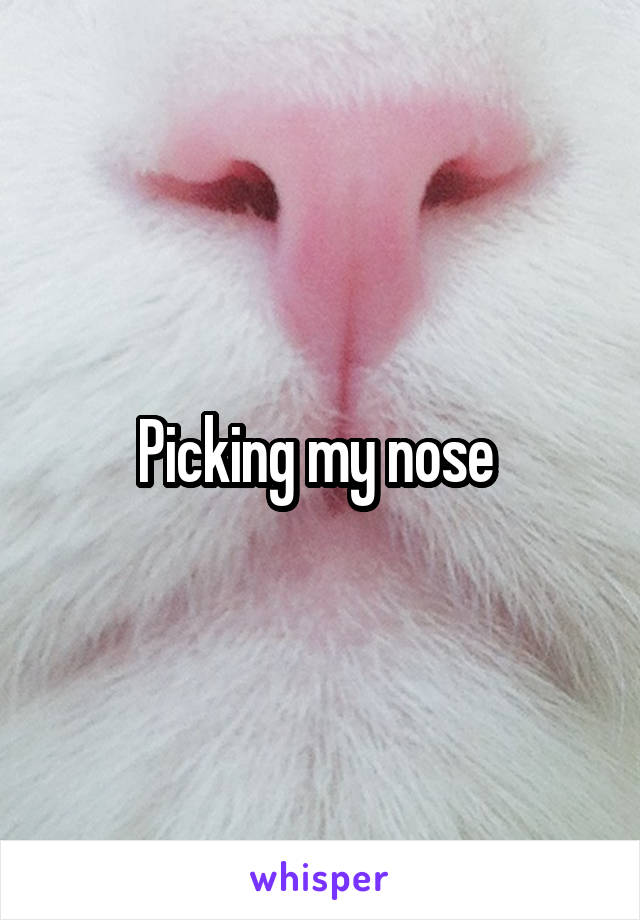 Picking my nose 