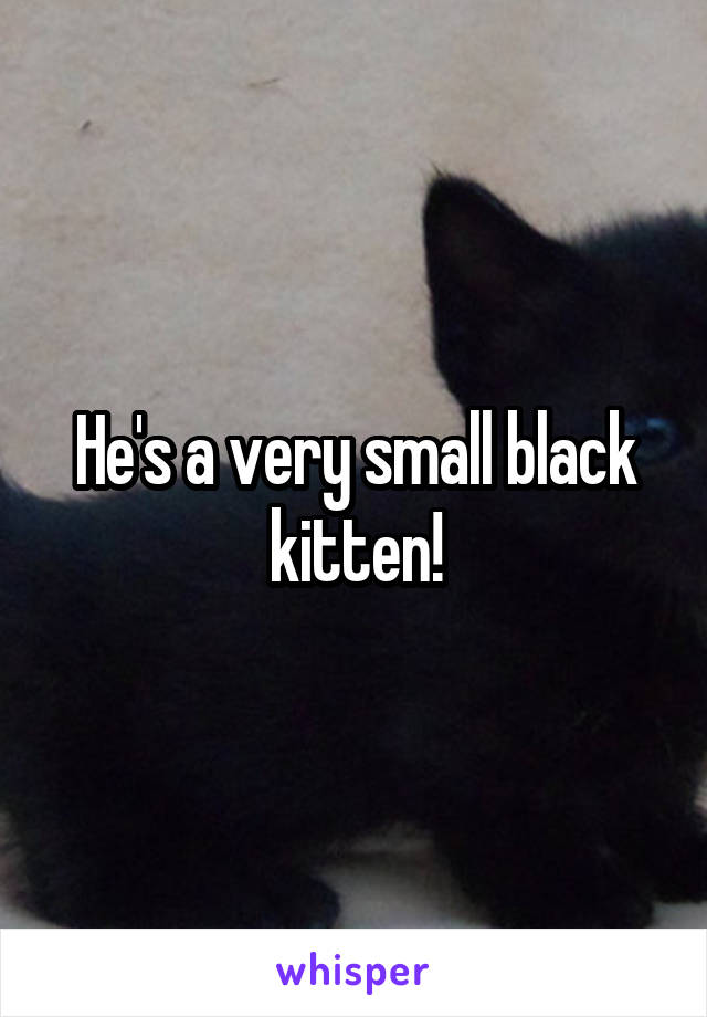 He's a very small black kitten!