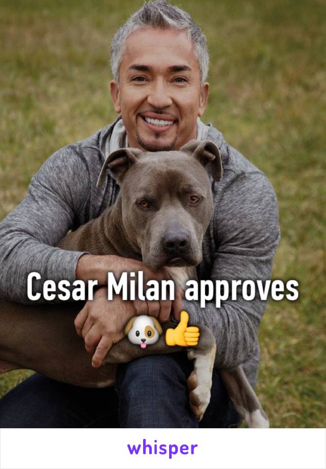 Cesar Milan approves 
🐶👍