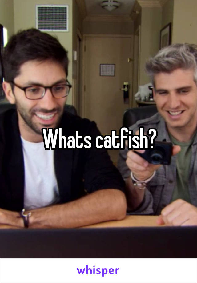 Whats catfish?