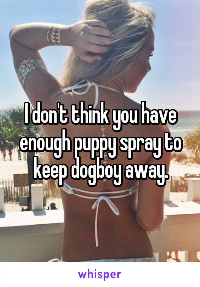 I don't think you have enough puppy spray to keep dogboy away.