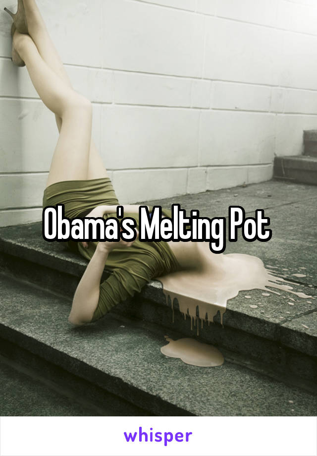 Obama's Melting Pot 