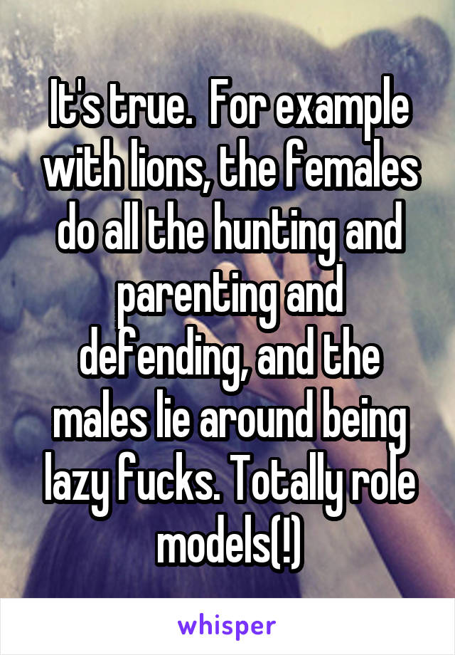 It's true.  For example with lions, the females do all the hunting and parenting and defending, and the males lie around being lazy fucks. Totally role models(!)