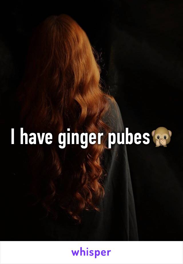 I have ginger pubes🙊