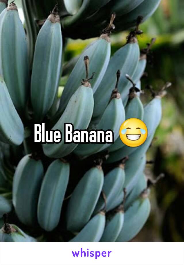 Blue Banana 😂