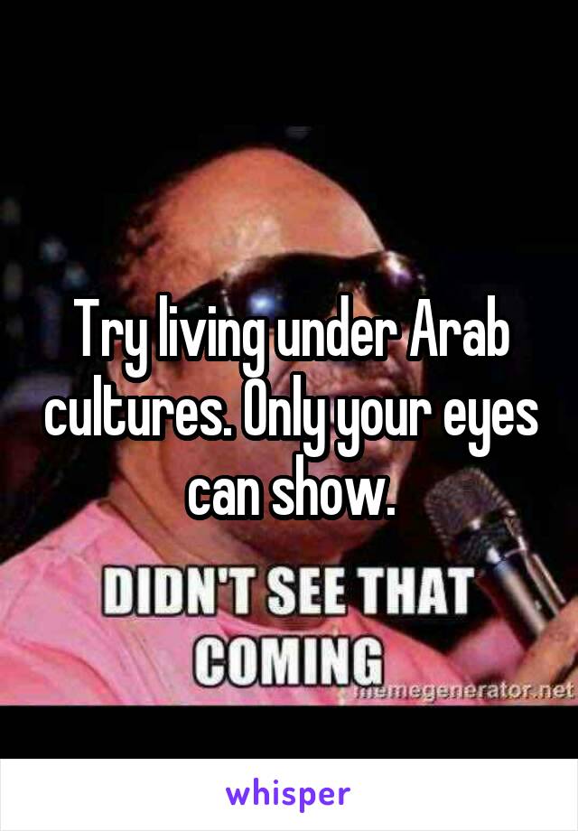 Try living under Arab cultures. Only your eyes can show.