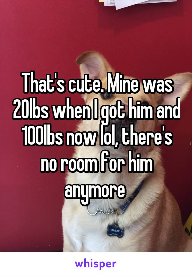 That's cute. Mine was 20lbs when I got him and 100lbs now lol, there's no room for him anymore 