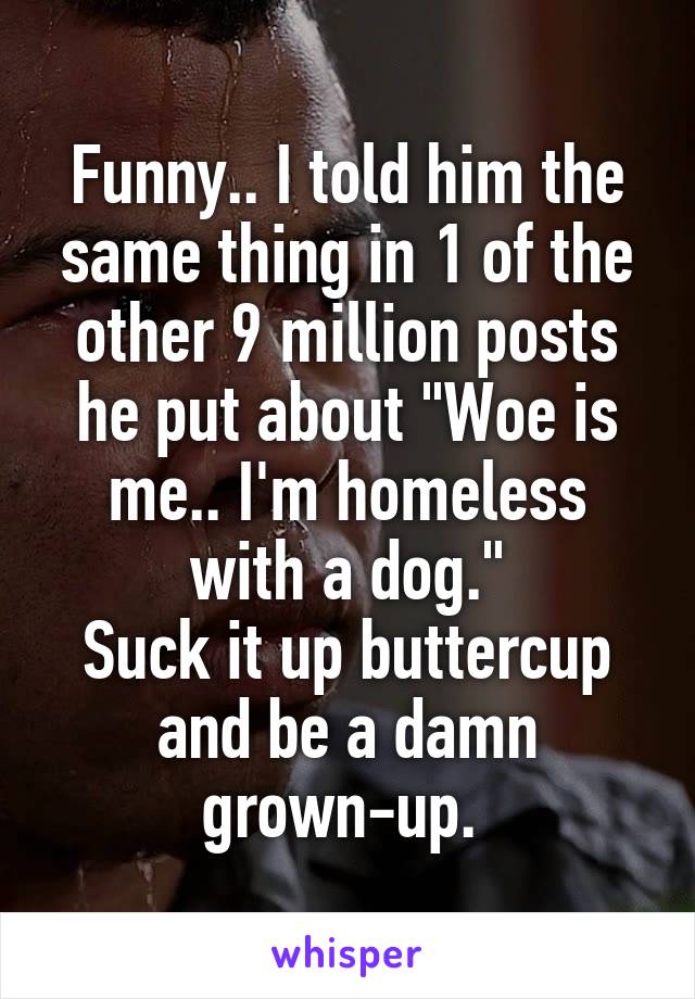 Funny.. I told him the same thing in 1 of the other 9 million posts he put about "Woe is me.. I'm homeless with a dog."
Suck it up buttercup and be a damn grown-up. 