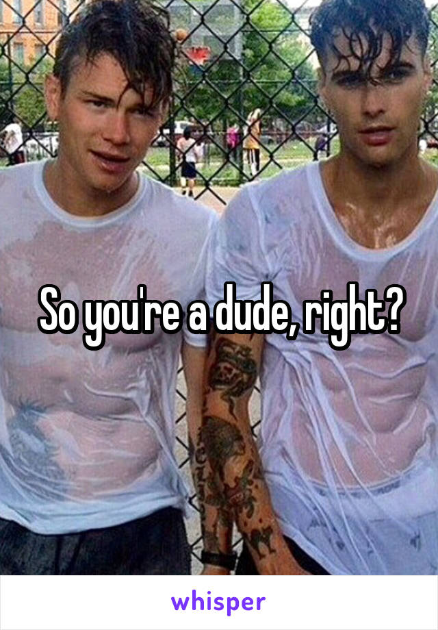 So you're a dude, right?