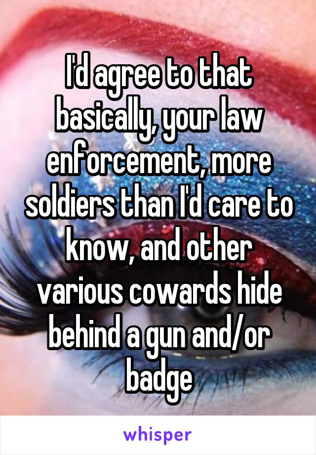 I'd agree to that basically, your law enforcement, more soldiers than I'd care to know, and other various cowards hide behind a gun and/or badge