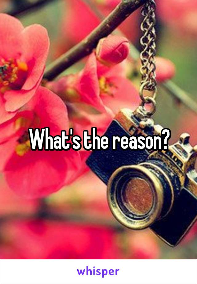What's the reason?
