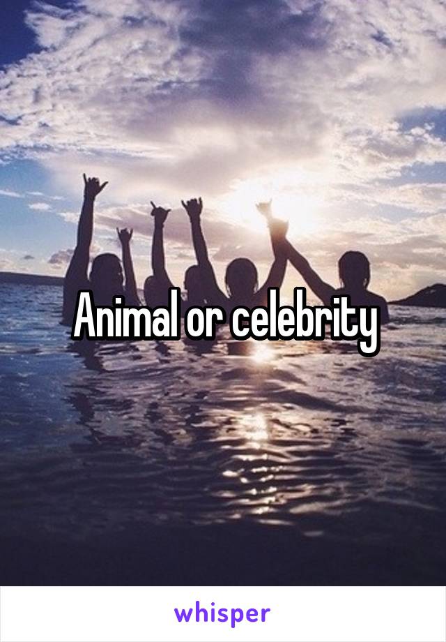 Animal or celebrity