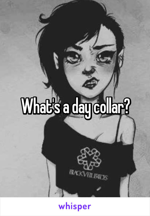 What's a day collar?
