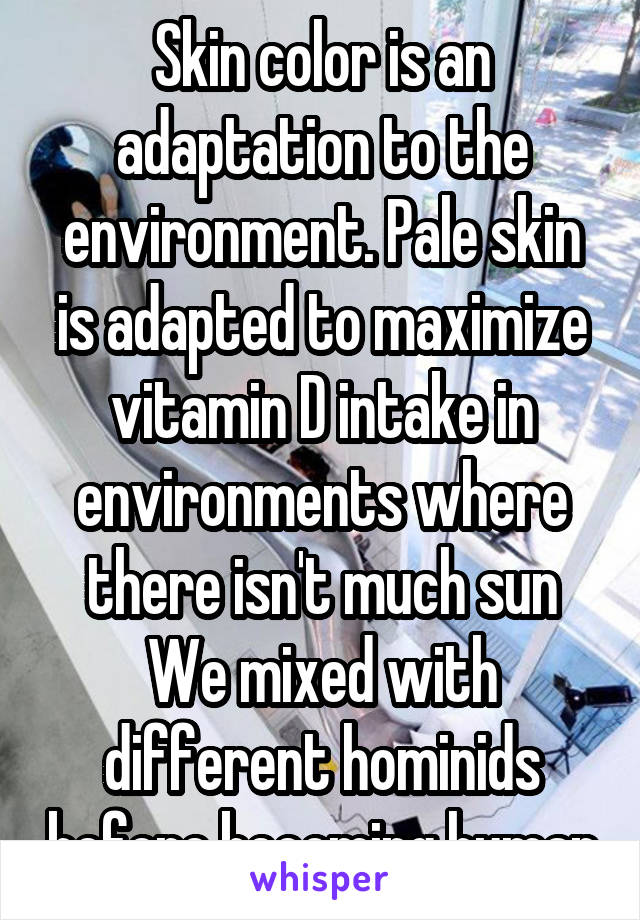 Skin color is an adaptation to the environment. Pale skin is adapted to maximize vitamin D intake in environments where there isn't much sun
We mixed with different hominids before becoming human