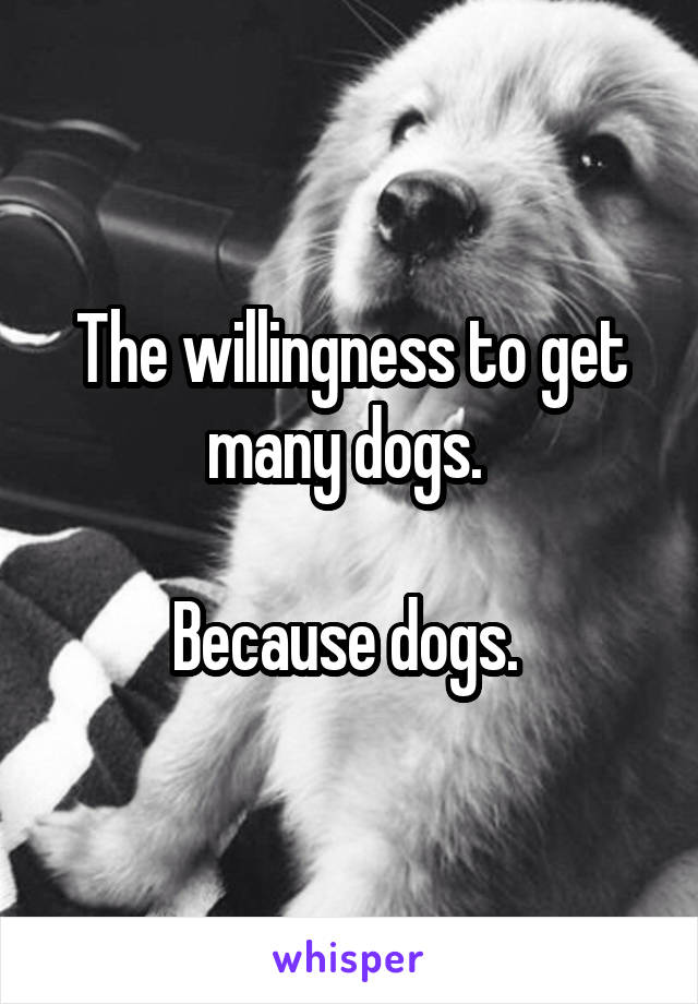 The willingness to get many dogs. 

Because dogs. 