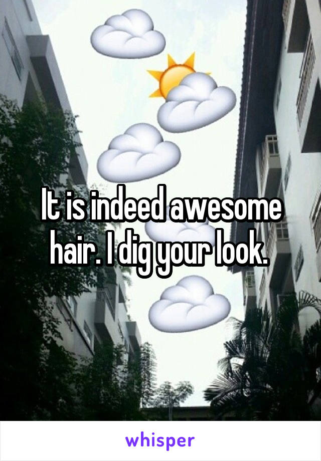 It is indeed awesome hair. I dig your look. 