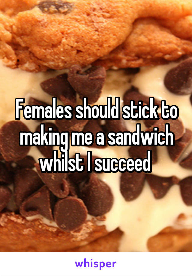 Females should stick to making me a sandwich whilst I succeed 