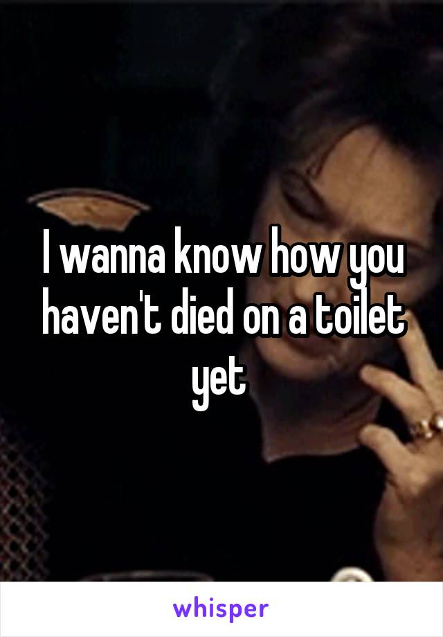 I wanna know how you haven't died on a toilet yet 