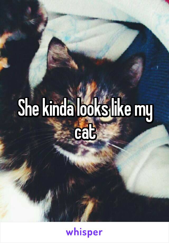 She kinda looks like my cat