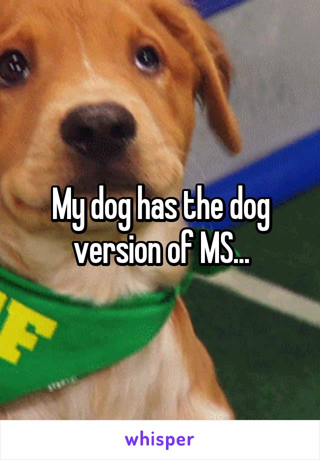 My dog has the dog version of MS...