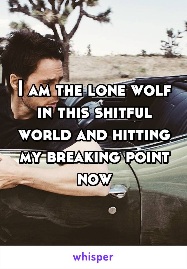 I am the lone wolf in this shitful world and hitting my breaking point now