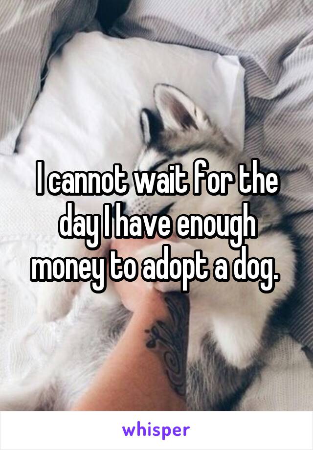 I cannot wait for the day I have enough money to adopt a dog. 