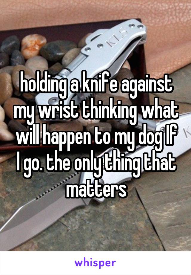holding a knife against my wrist thinking what will happen to my dog If I go. the only thing that matters