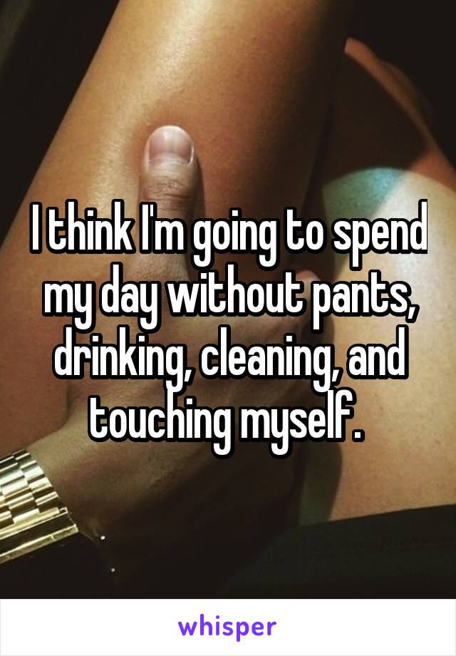 I think I'm going to spend my day without pants, drinking, cleaning, and touching myself. 