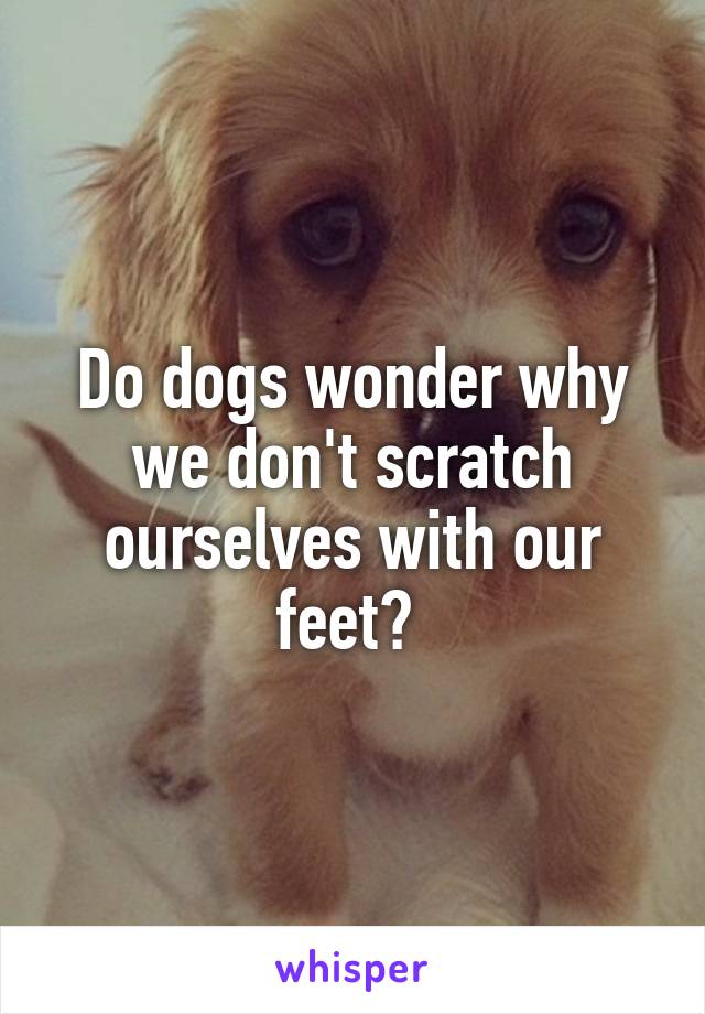 Do dogs wonder why we don't scratch ourselves with our feet? 
