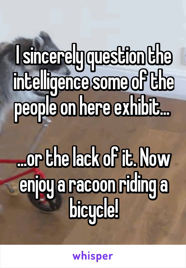 I sincerely question the intelligence some of the people on here exhibit... 

...or the lack of it. Now enjoy a racoon riding a bicycle!