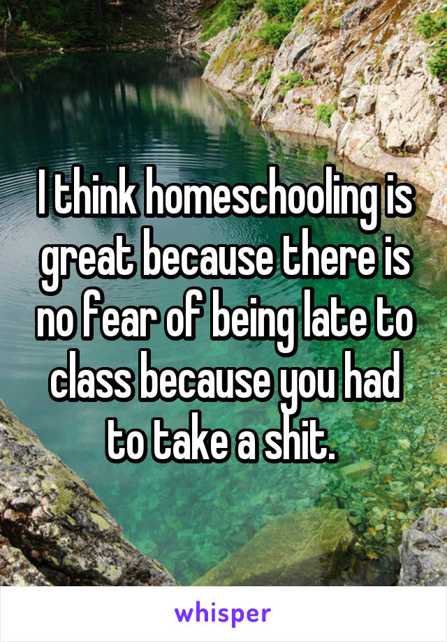 I think homeschooling is great because there is no fear of being late to class because you had to take a shit. 