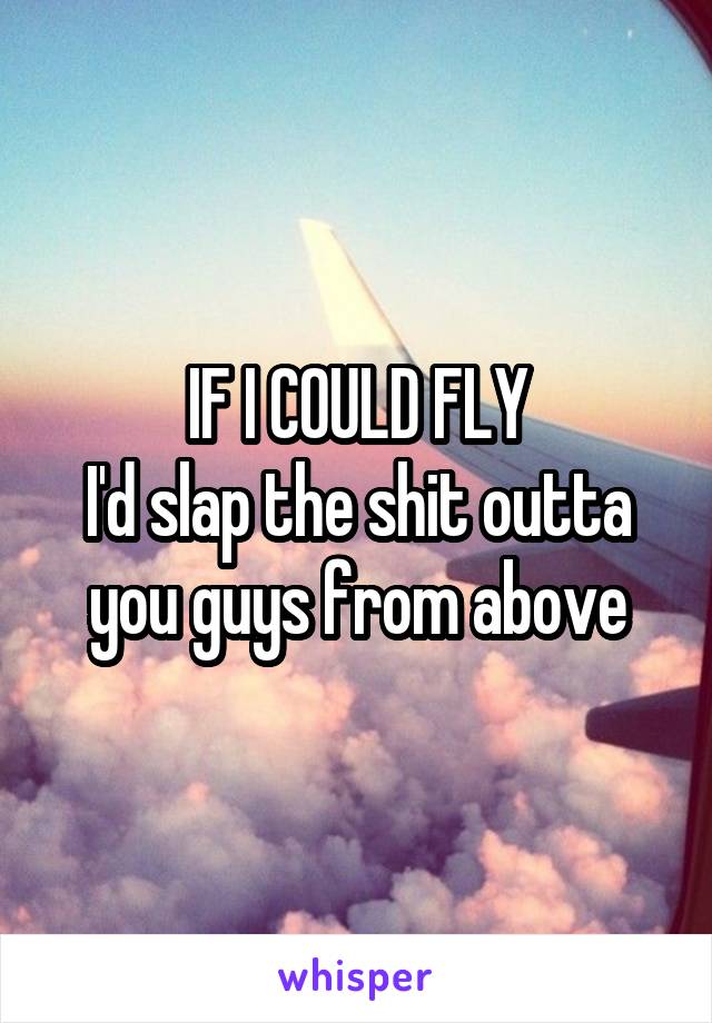 IF I COULD FLY
I'd slap the shit outta you guys from above