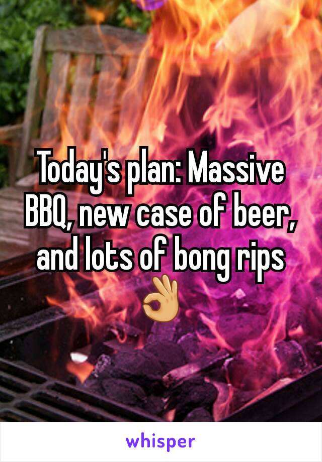 Today's plan: Massive BBQ, new case of beer, and lots of bong rips 👌